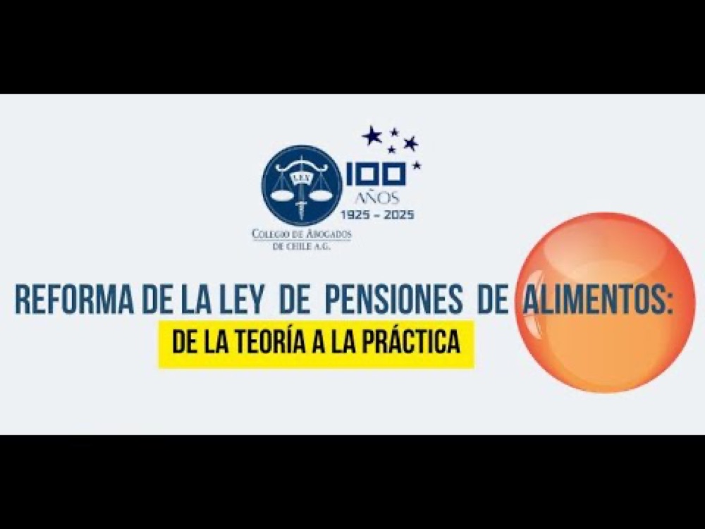 Angie Olguín exponiendo sobre la Ley de Alimentos ante el Colegio de Abogados